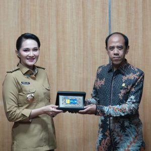 Gubernur Provinsi Maluku Utara, Sherly Tjoanda dan General Manager PLN UIP MPA, Nur Hardiyanto