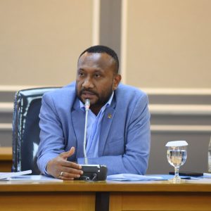 Anggota DPR RI Yan Permenas Mandenas