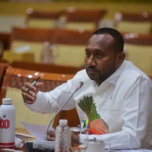 Anggota DPR Yan Mandenas Desak Penertiban Tambang Ilegal Papua demi Selamatkan SDA