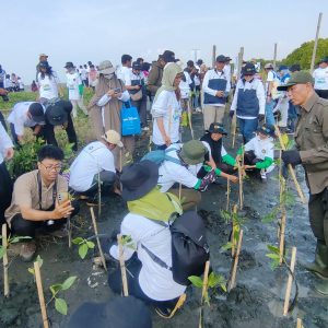 Bersama Warga, PLN Rehabilitasi Mangrove Lindungi Pesisir Utara Jateng dari Banjir Rob