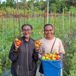Hasil Panen Berlimpah, Program Desa Berdaya Taman Inspirasi Waibu “Wajah Indonesia Baru” PLN Makin Berdampak