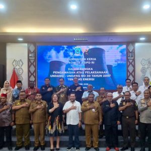 Dialog Bersama DPD RI dan Pemprov Papua Barat, PLN UIP MPA Paparkan Peta Jalan Ketahanan Energi Hingga 2030