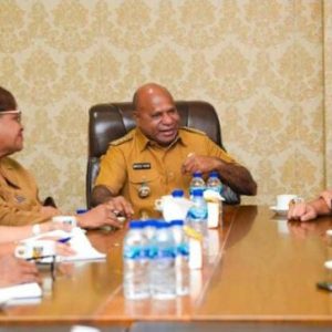 Kementan Targetkan Cetak Sawah 30 Ribu Hektar di Papua, Mulai Tanam September