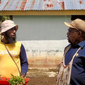 Dari Nakhoda Kapal ke Penggerak Pertanian: Perjalanan Marten Norotouw Bangun Kemandirian Pangan di Papua