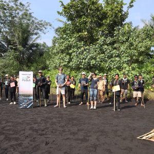 PLN UIP MPA dan UNIERA Perkuat Rehabilitasi Mangrove Pantai Wauwo untuk Lindungi Habitat Mamoa