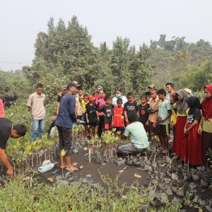 Tanam Mangrove, Lepas Tukik: PLN UIP MPA Hidupkan Kembali Pantai Wauwo