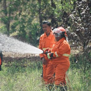 150 Pohon Ditanam di Waena, PLN dan Warga Bergerak Lawan Risiko Karhutla